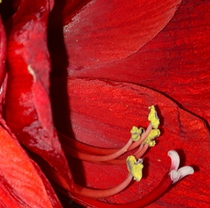 Profilbild von Nadine Greifer