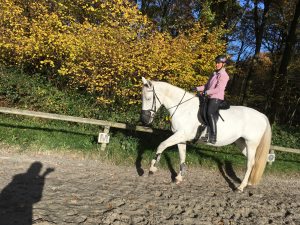 Profilbild von Nadja Süßenbach