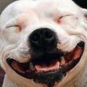 Profilbild von Nasa Kho