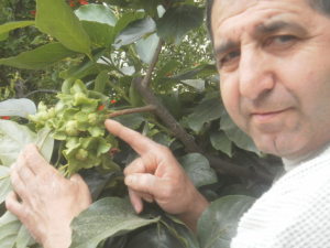 Profilbild von Necati Ergün