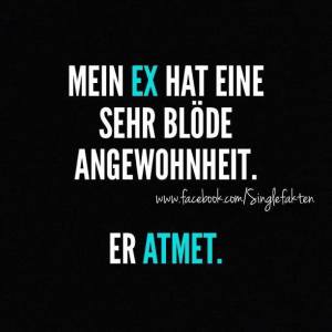 Profilbild von Nick Peters