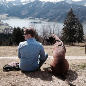 Profilbild von Nico Brauer