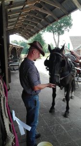 Profilbild von Nicolas Zeitzem