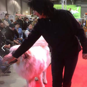 Profilbild von Nicole Suzanne Neumann