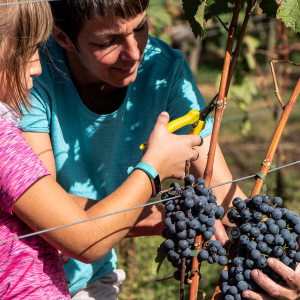 Profilbild von Nicole Herzog