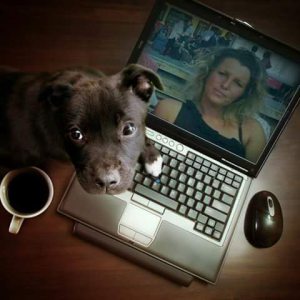 Profilbild von Nicole Hübner