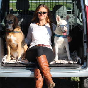 Profilbild von Nicole von der Beeke