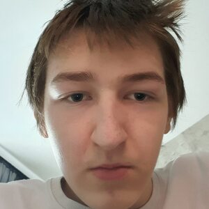 Profilbild von Niklas Stiller