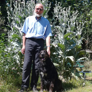 Profilbild von Norbert Rauscher