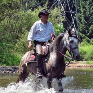 Profilbild von Norbert Unterköfler