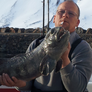 Profilbild von Olaf Hentze