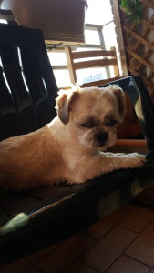 Profilbild von Olaf Kroll