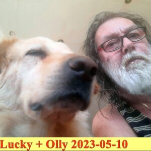 Profilbild von Olaf Peters