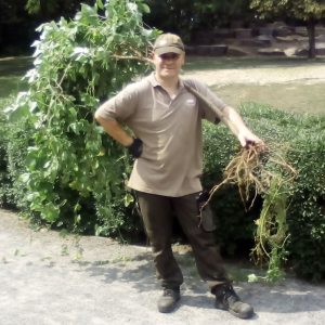 Profilbild von Olaf Recknagel