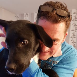 Profilbild von Oliver Goetsches
