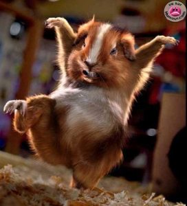 Profilbild von Oliver Struck