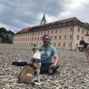 Profilbild von Patrick Fehr