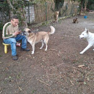 Profilbild von Patrick Schnorrenberg