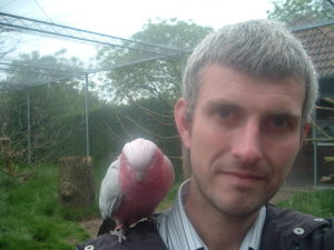 Profilbild von Patrick Thimm