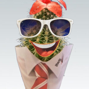 Profilbild von Paul Gomez