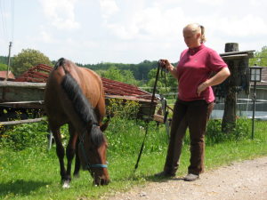 Profilbild von Peggy Borchard