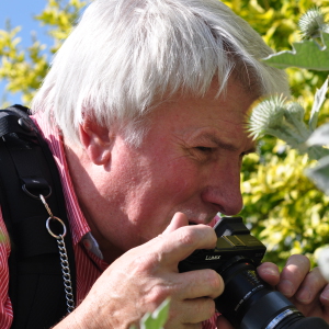 Profilbild von Peter Drewel