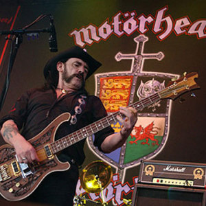 Profilbild von Peter Görner