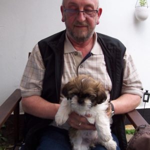Profilbild von Peter Scheibel