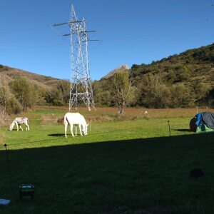 Profilbild von Peter Schiffer