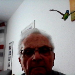 Profilbild von Peter Schubert