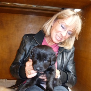Profilbild von Petra Altmann