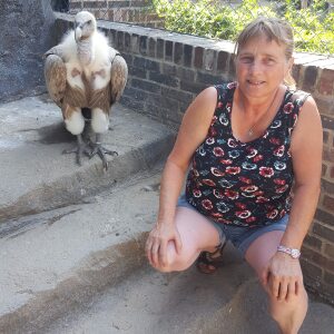 Profilbild von Petra Berger Haase