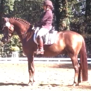 Profilbild von Petra Brakenhoff