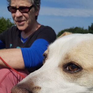Profilbild von Petra Brzezinski