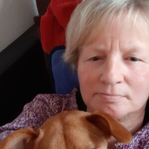 Profilbild von Petra Engel