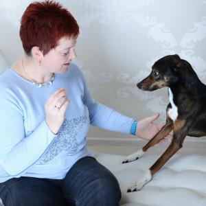 Profilbild von Petra Hähnchen