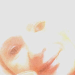 Profilbild von Petra Hebbel