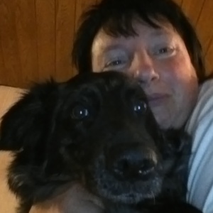 Profilbild von Petra Hollstein