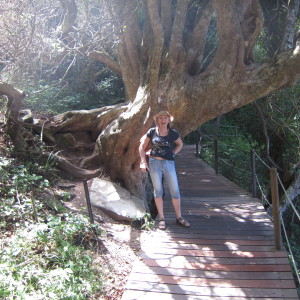 Profilbild von Petra Lengler