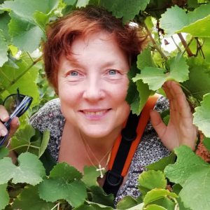 Profilbild von Petra Möller