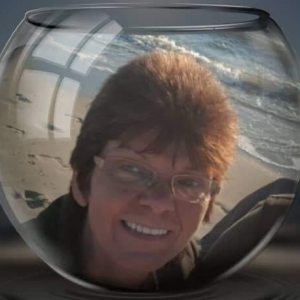 Profilbild von Petra Schlüter