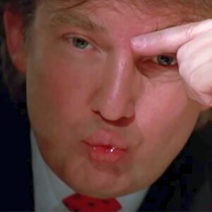 Profilbild von Petra Schneider