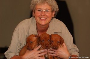 Profilbild von Petra Stracke
