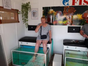 Profilbild von Petra Süßmann