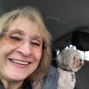 Profilbild von Petra Walter