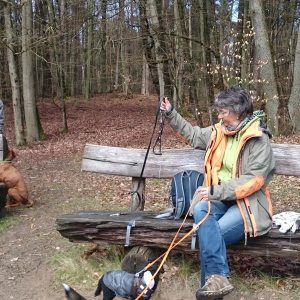 Profilbild von Petra Weidt