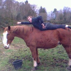 Profilbild von Piet Pille