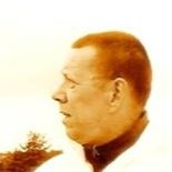 Profilbild von Rainer Denia