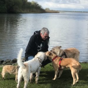 Profilbild von Rainer Fürst