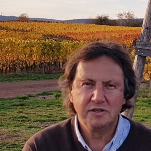 Profilbild von Rainer Schmitt